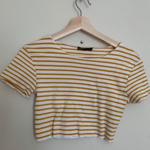 Zara Striped Mustard Yellow Very Crop Top
